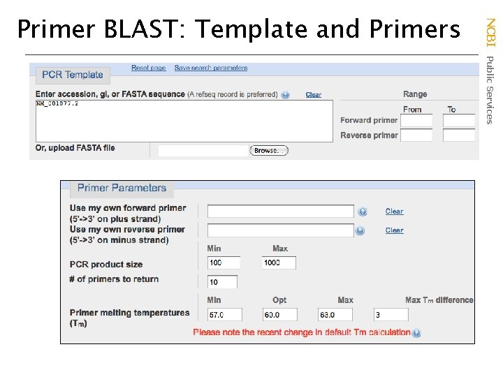 NCBI Public Services Primer BLAST: Template and Primers 
