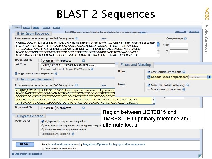 Region between UGT 2 B 15 and TMRSS 11 E in primary reference and