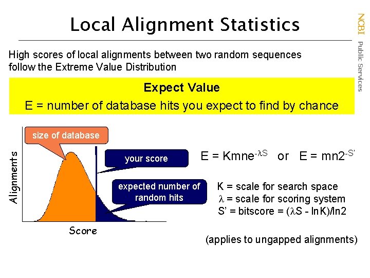 High scores of local alignments between two random sequences follow the Extreme Value Distribution