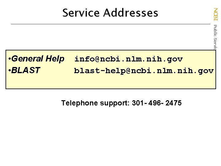  • General Help • BLAST NCBI Public Services Service Addresses info@ncbi. nlm. nih.