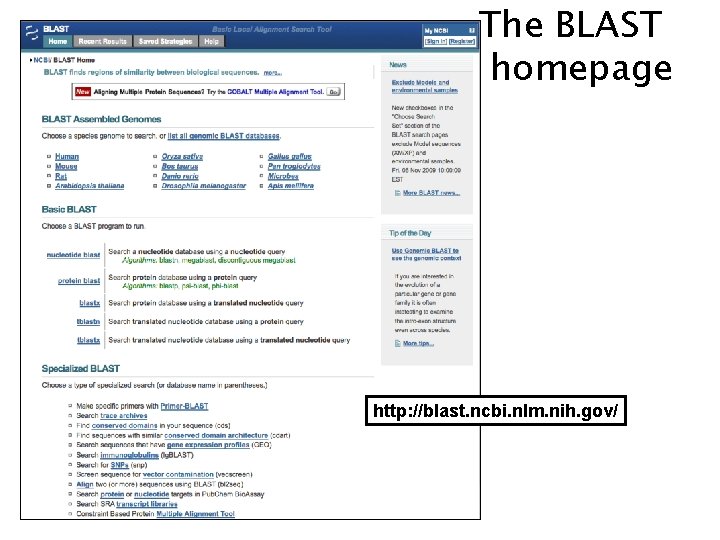 The BLAST homepage http: //blast. ncbi. nlm. nih. gov/ 