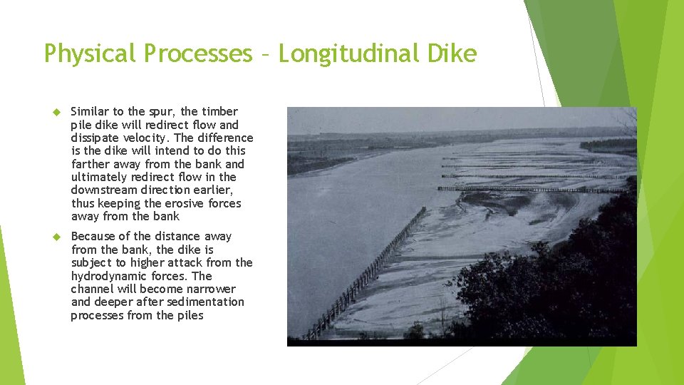 Physical Processes – Longitudinal Dike Similar to the spur, the timber pile dike will