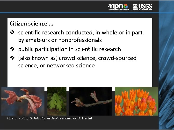 Citizen science … v scientific research conducted, in whole or in part, by amateurs