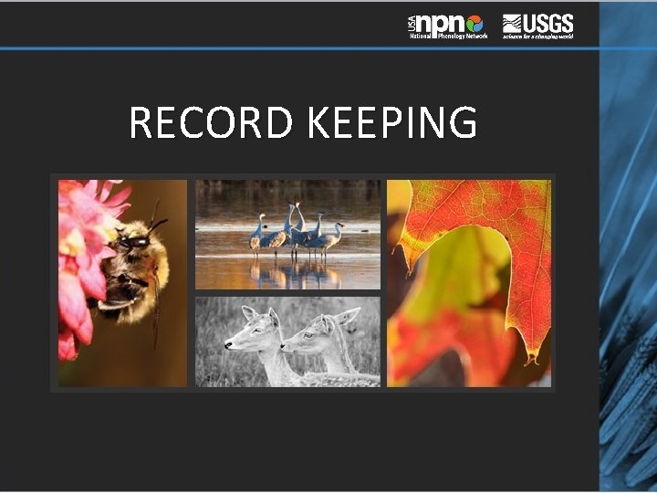 RECORD KEEPING 