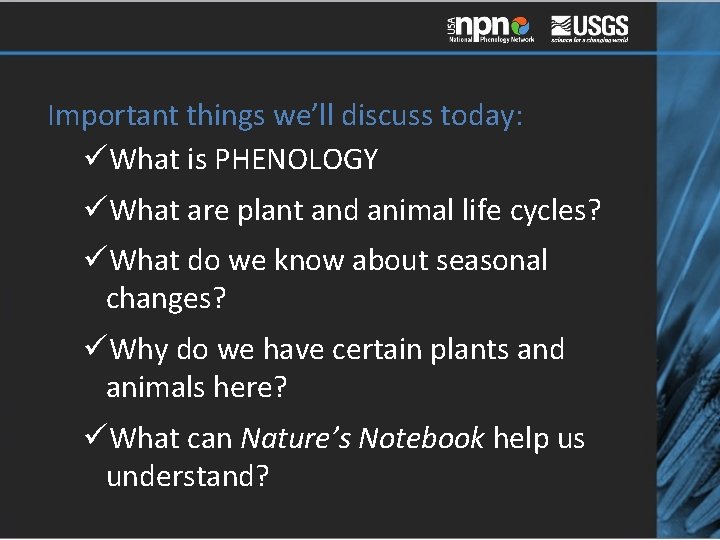 Important things we’ll discuss today: üWhat is PHENOLOGY üWhat are plant and animal life