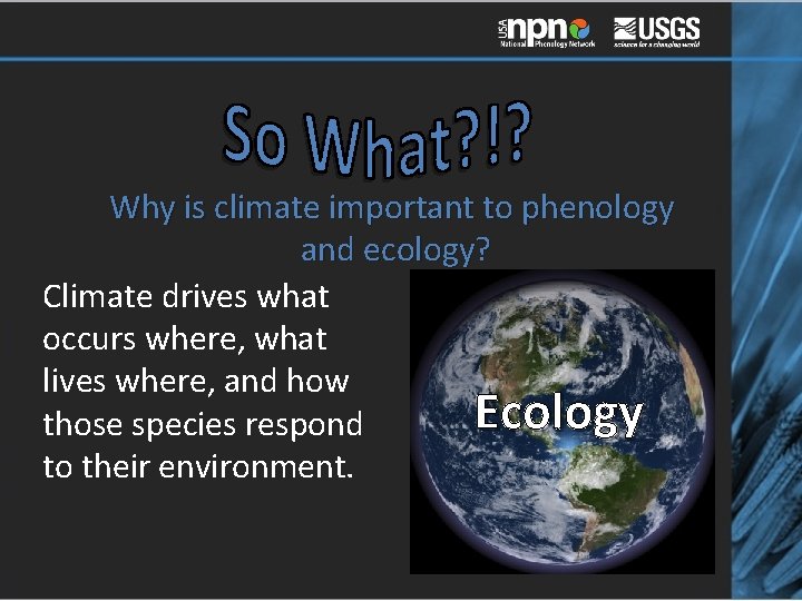 Why is climate important to phenology and ecology? Climate drives what occurs where, what