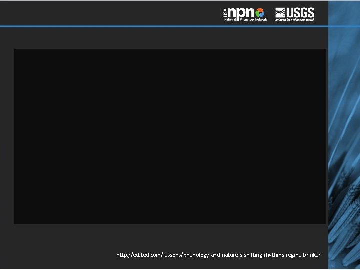 http: //ed. ted. com/lessons/phenology-and-nature-s-shifting-rhythms-regina-brinker 