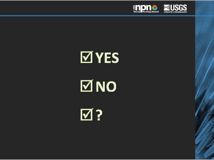  YES NO ? 