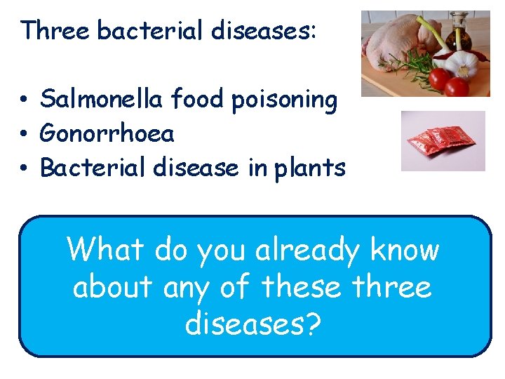 Three bacterial diseases: • Salmonella food poisoning • Gonorrhoea • Bacterial disease in plants