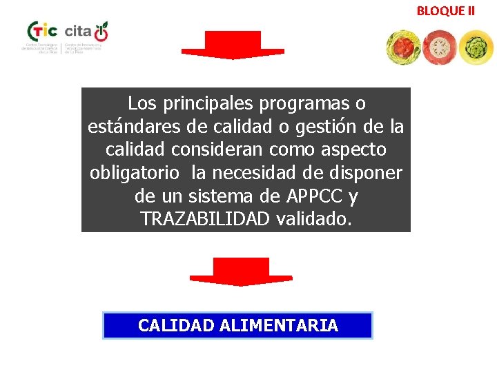 BLOQUE II Los principales programas o estándares de calidad o gestión de la calidad