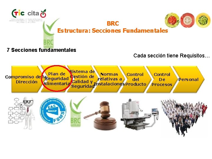 BRC Estructura: Secciones Fundamentales 7 Secciones fundamentales Cada sección tiene Requisitos… Sistema de Plan