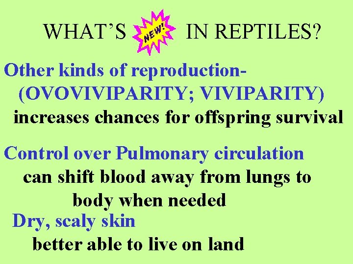 WHAT’S IN REPTILES? Other kinds of reproduction(OVOVIVIPARITY; VIVIPARITY) increases chances for offspring survival Control