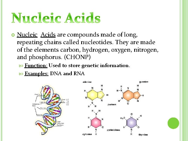  Nucleic Acids are compounds made of long, repeating chains called nucleotides. They are