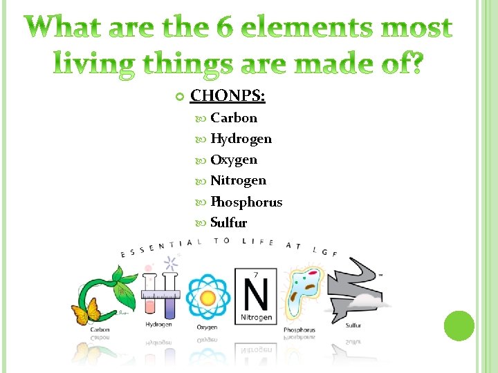  CHONPS: C arbon Hydrogen Oxygen Nitrogen Phosphorus Sulfur 