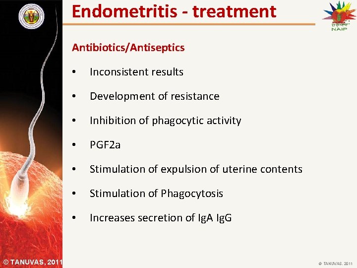 Endometritis - treatment Antibiotics/Antiseptics © TANUVAS, 2011 • Inconsistent results • Development of resistance