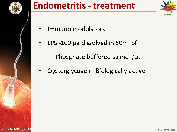 Endometritis - treatment • Immuno modulators • LPS -100 µg dissolved in 50 ml