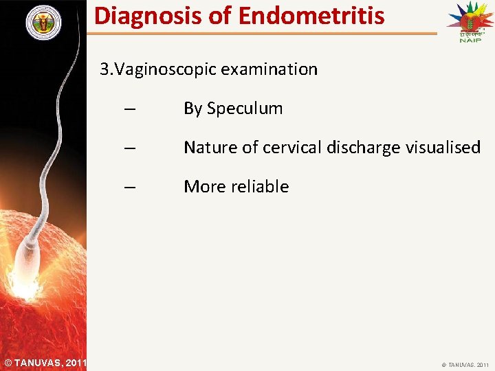 Diagnosis of Endometritis 3. Vaginoscopic examination © TANUVAS, 2011 – By Speculum – Nature