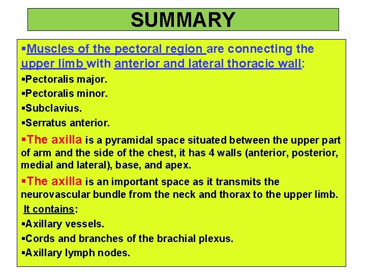 SUMMARY §Muscles of the pectoral region are connecting the upper limb with anterior and