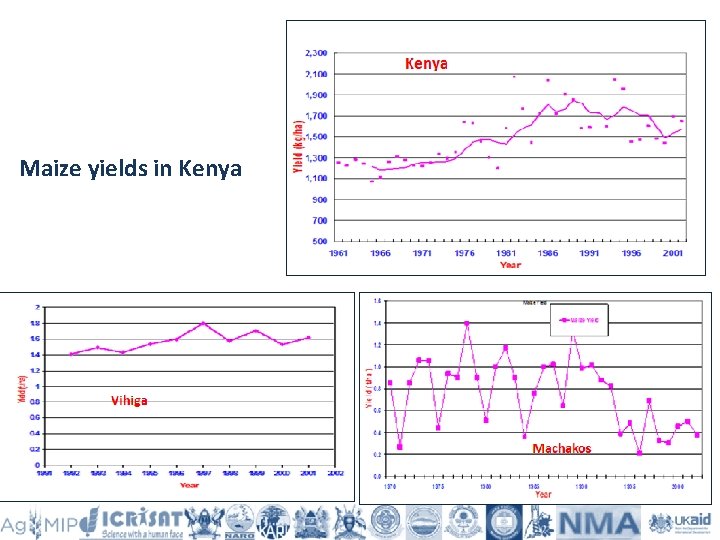 Maize yields in Kenya 