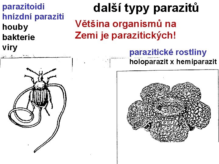 parazitoidi hnízdní paraziti houby bakterie viry další typy parazitů Většina organismů na Zemi je