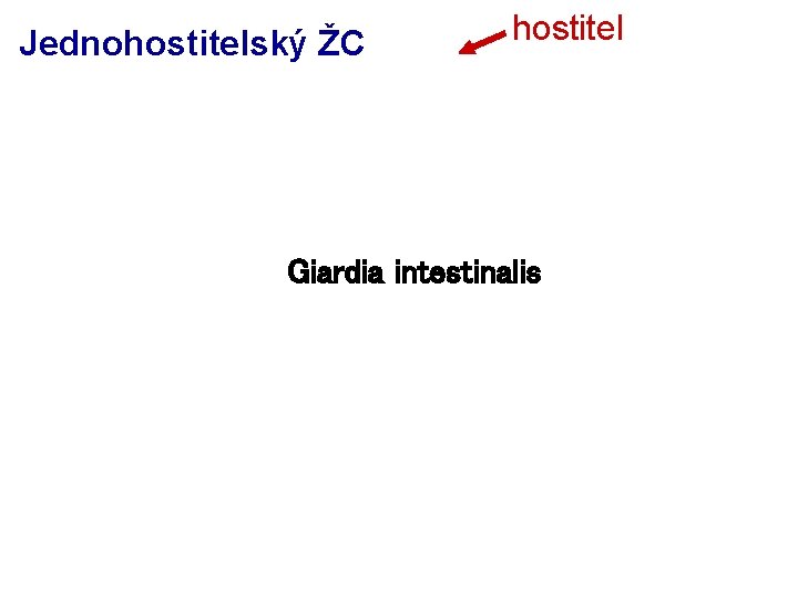 Jednohostitelský ŽC hostitel Giardia intestinalis 