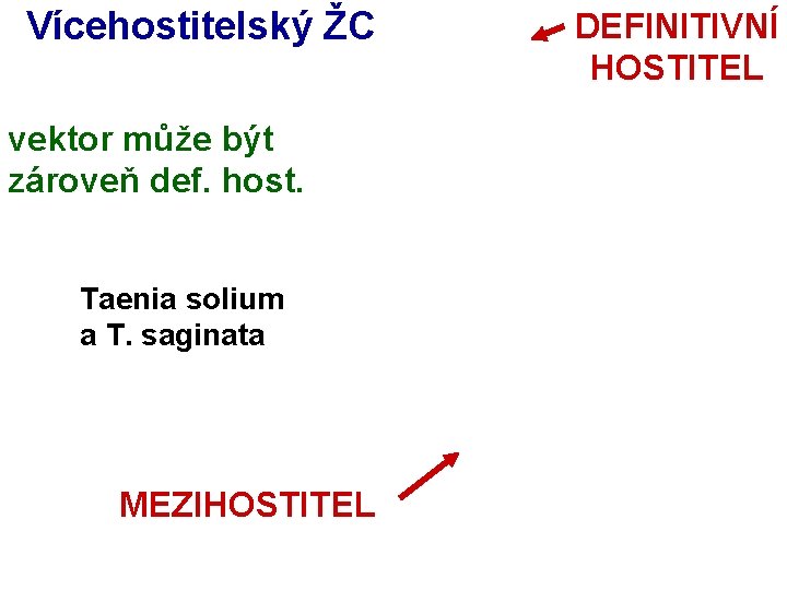 Vícehostitelský ŽC vektor může být zároveň def. host. Taenia solium a T. saginata MEZIHOSTITEL