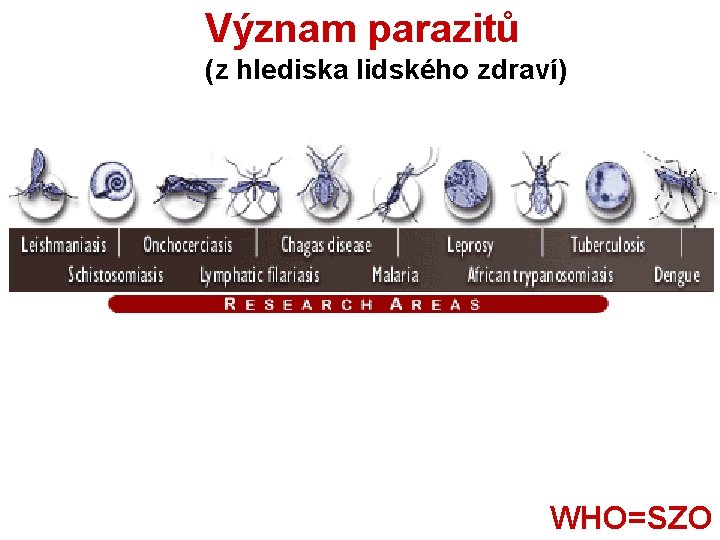 Význam parazitů (z hlediska lidského zdraví) WHO=SZO 