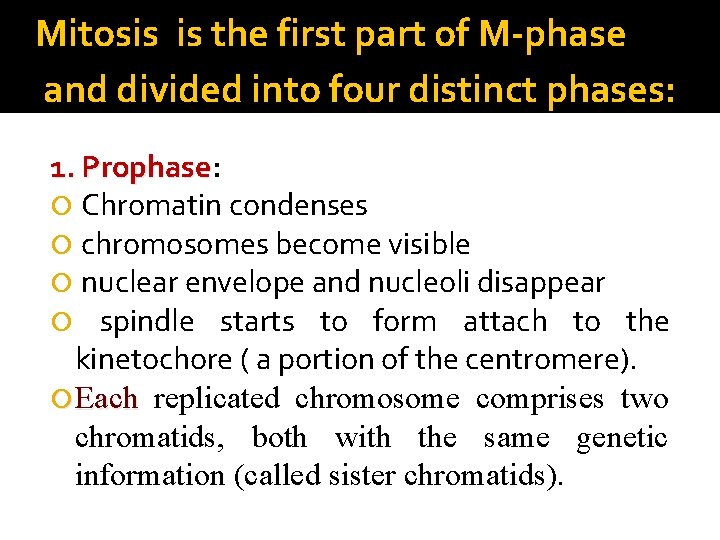 Mitosis is the first part of M-phase and divided into four distinct phases: 1.