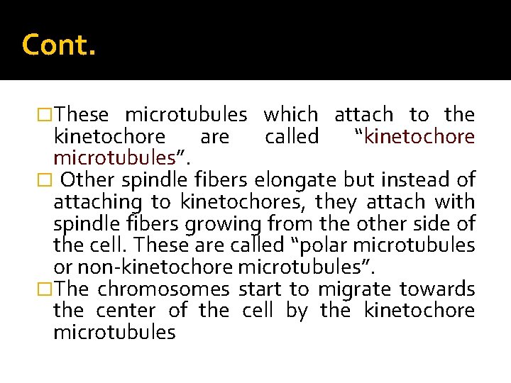 Cont. �These microtubules which attach to the kinetochore are called “kinetochore microtubules”. microtubules �