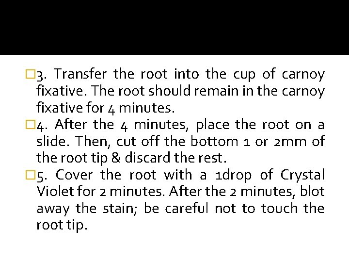 � 3. Transfer the root into the cup of carnoy fixative. The root should