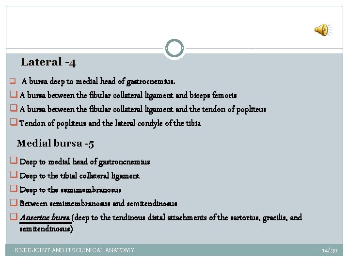 Lateral -4 A bursa deep to medial head of gastrocnemius. q A bursa between