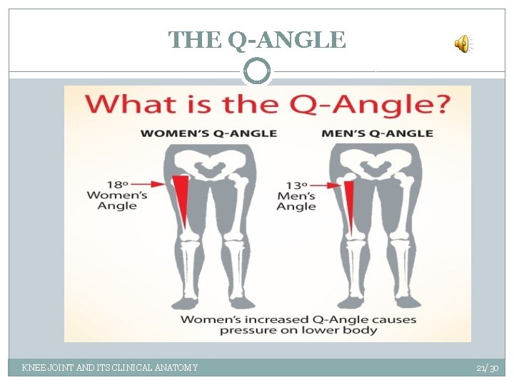 THE Q-ANGLE KNEE JOINT AND ITS CLINICAL ANATOMY 21/30 