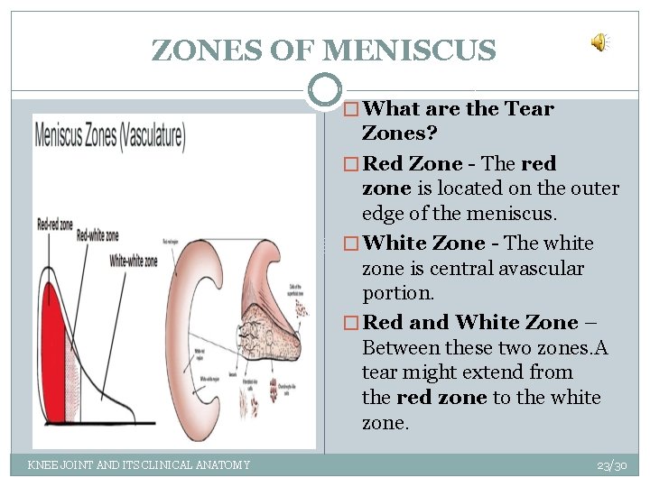 ZONES OF MENISCUS � What are the Tear Zones? � Red Zone - The