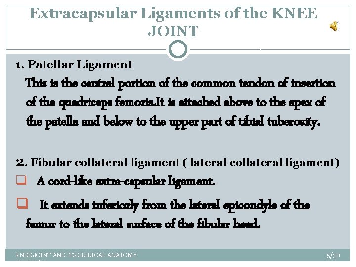 Extracapsular Ligaments of the KNEE JOINT 1. Patellar Ligament This is the central portion