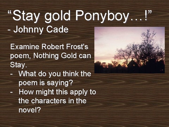 “Stay gold Ponyboy…!” - Johnny Cade Examine Robert Frost's poem, Nothing Gold can Stay.