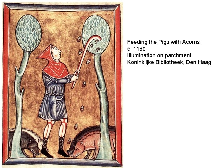 Feeding the Pigs with Acorns c. 1180 Illumination on parchment Koninklijke Bibliotheek, Den Haag