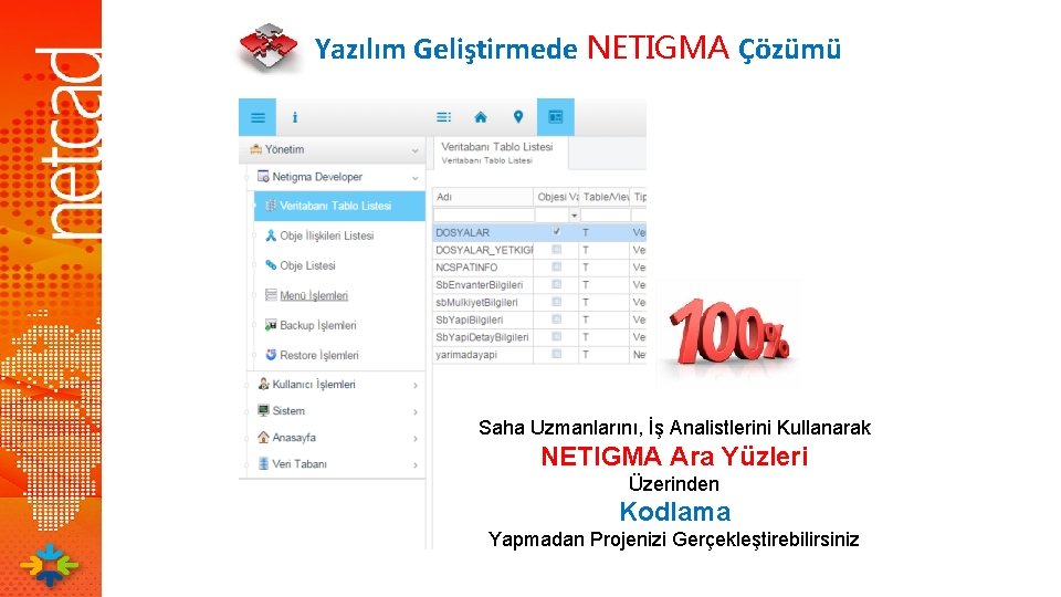 Yazılım Geliştirmede NETIGMA Çözümü Saha Uzmanlarını, İş Analistlerini Kullanarak NETIGMA Ara Yüzleri Üzerinden Kodlama