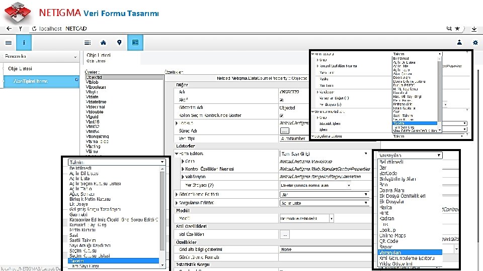 NETIGMA Veri Formu Tasarımı 