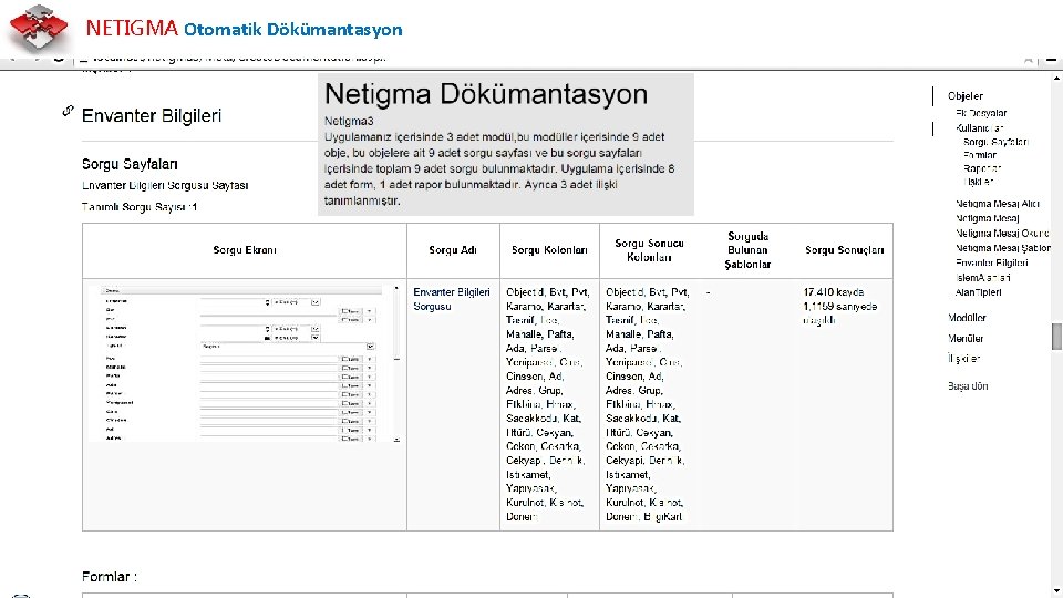 NETIGMA Otomatik Dökümantasyon 