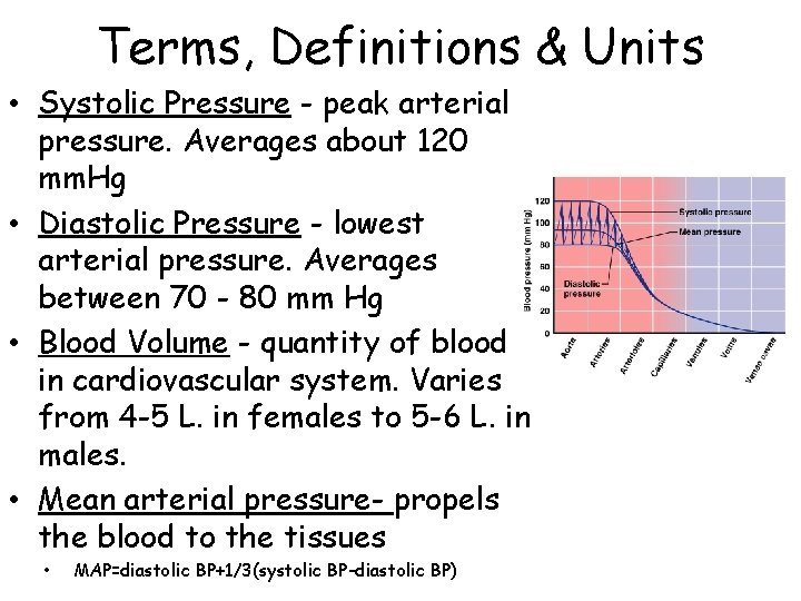 Terms, Definitions & Units • Systolic Pressure - peak arterial pressure. Averages about 120 Terms, Definitions & Units • Systolic Pressure - peak arterial pressure. Averages about 120