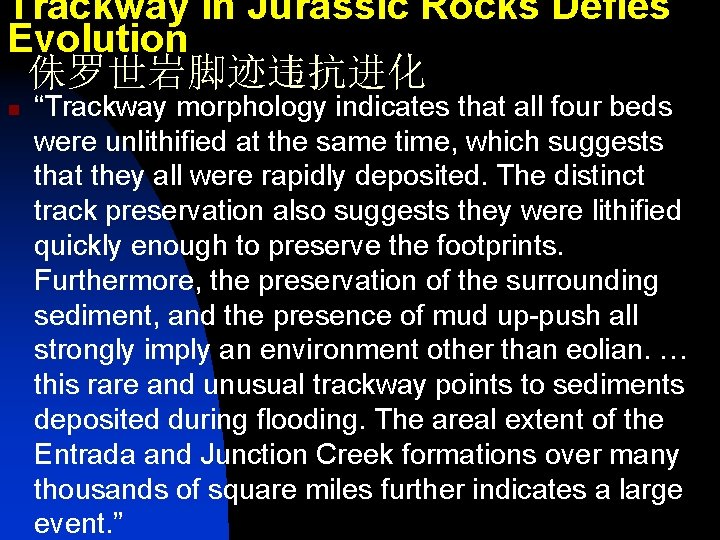 Trackway in Jurassic Rocks Defies Evolution 侏罗世岩脚迹违抗进化 n “Trackway morphology indicates that all four