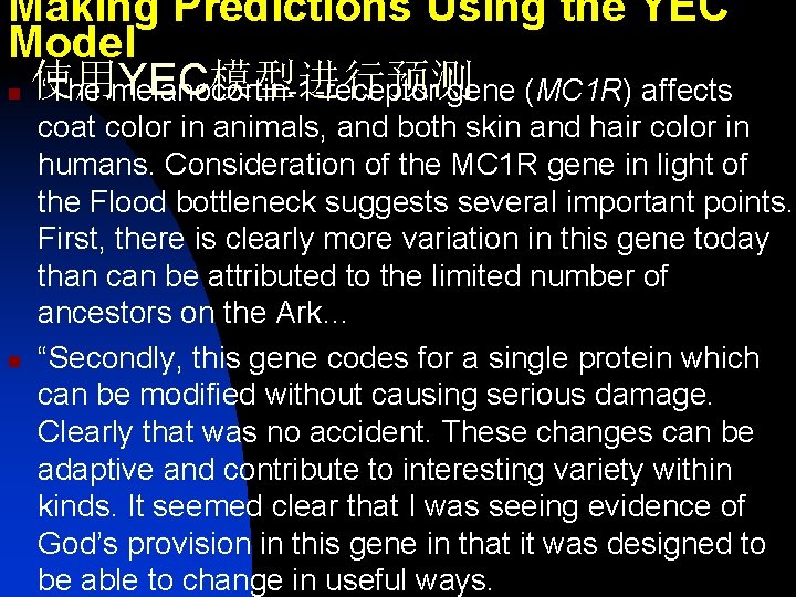 Making Predictions Using the YEC Model n 使用YEC模型进行预测 “The melanocortin-1 -receptor gene (MC 1