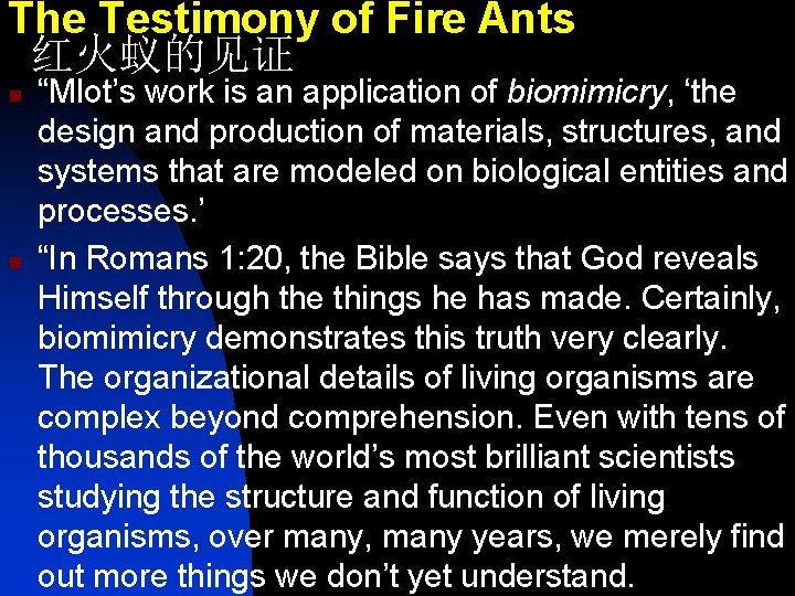 The Testimony of Fire Ants 红火蚁的见证 n n “Mlot’s work is an application of