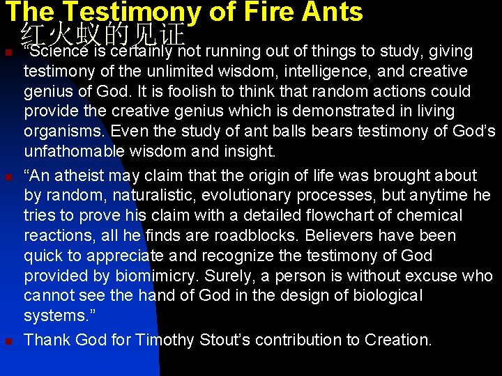 The Testimony of Fire Ants 红火蚁的见证 “Science is certainly not running out of things