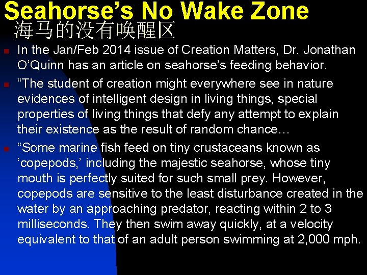 Seahorse’s No Wake Zone 海马的没有唤醒区 n n n In the Jan/Feb 2014 issue of