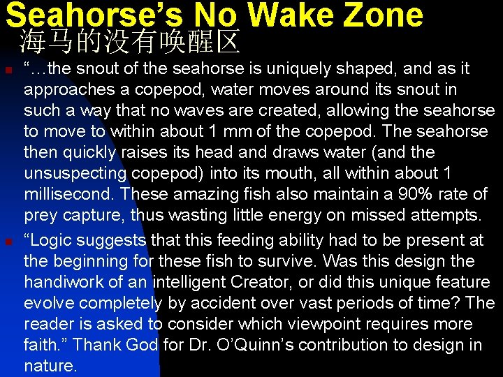 Seahorse’s No Wake Zone 海马的没有唤醒区 n n “…the snout of the seahorse is uniquely