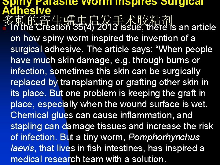 Spiny Parasite Worm Inspires Surgical Adhesive 多刺的寄生蠕虫启发手术胶粘剂 n In the Creation 35(4) 2013 issue,