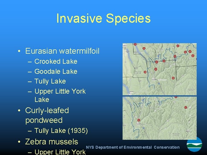 Invasive Species • Eurasian watermilfoil – – Crooked Lake Goodale Lake Tully Lake Upper