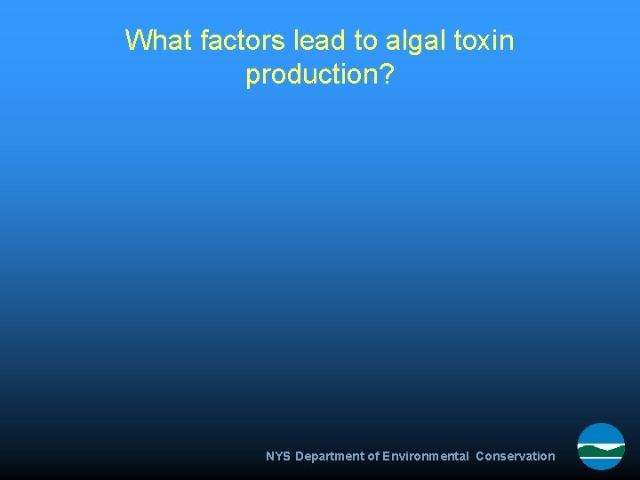 What factors lead to algal toxin production? NYS Department of Environmental Conservation 