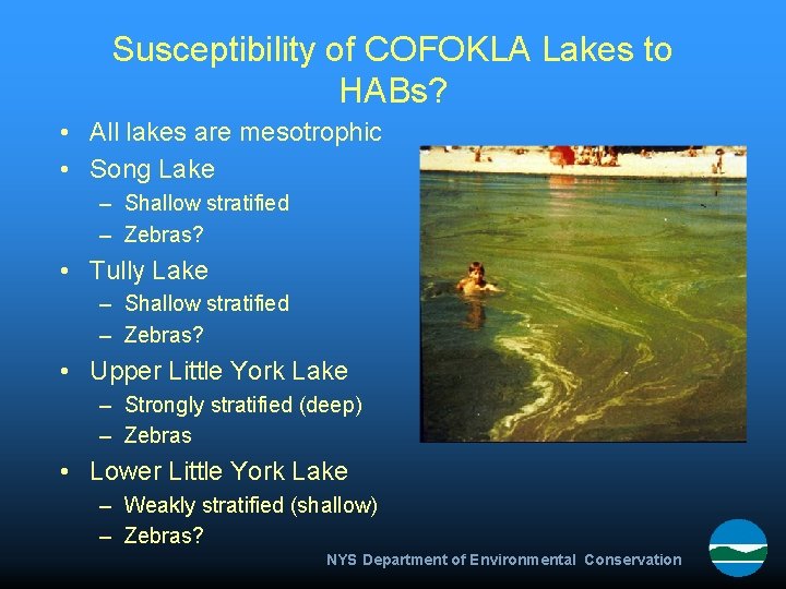 Susceptibility of COFOKLA Lakes to HABs? • All lakes are mesotrophic • Song Lake